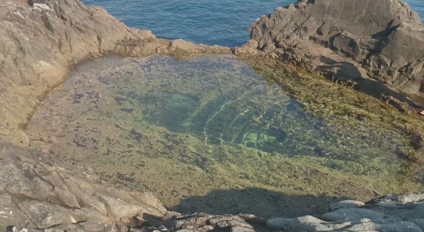 Гостевой дом Камелия Утес-29